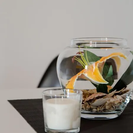 Apartamento Pasalic *